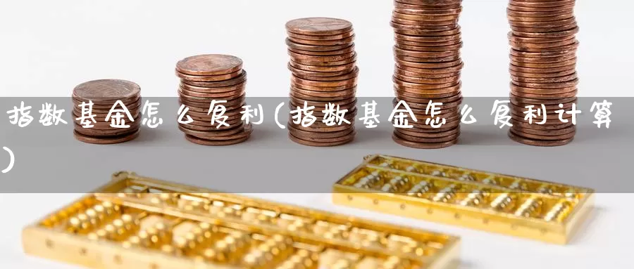 指数基金怎么复利(指数基金怎么复利计算)_https://www.qdfrdjx.com_道指期货直播室_第1张