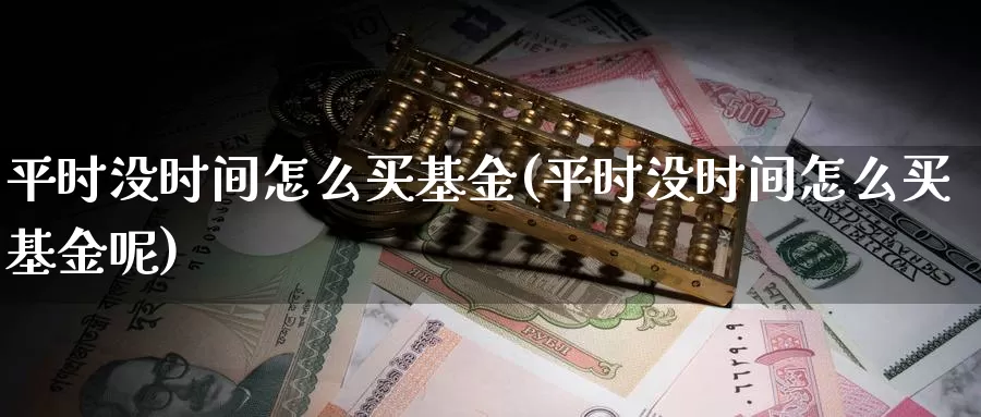 平时没时间怎么买基金(平时没时间怎么买基金呢)_https://www.qdfrdjx.com_道指期货直播室_第1张