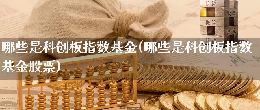 哪些是科创板指数基金(哪些是科创板指数基金股票)_https://www.qdfrdjx.com_道指期货直播间_第1张