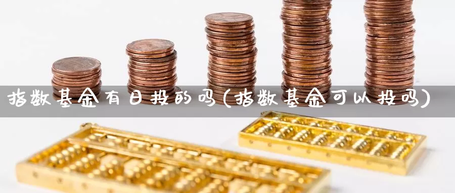 指数基金有日投的吗(指数基金可以投吗)_https://www.qdfrdjx.com_道指期货手续费_第1张