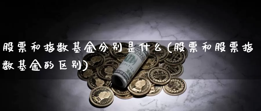 股票和指数基金分别是什么(股票和股票指数基金的区别)_https://www.qdfrdjx.com_道指期货直播室_第1张