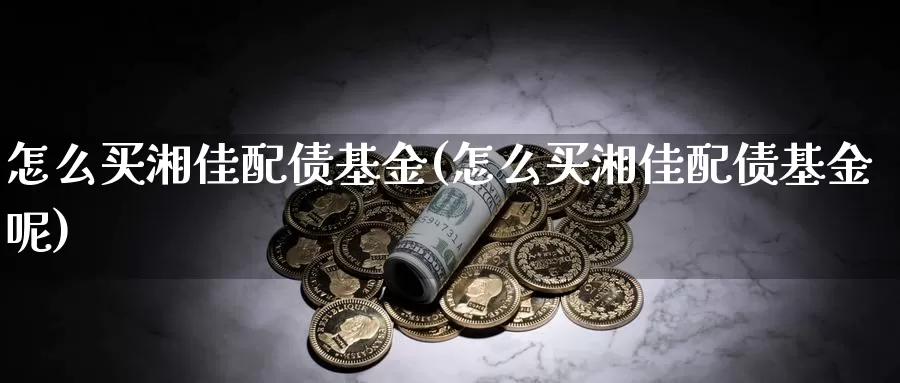 怎么买湘佳配债基金(怎么买湘佳配债基金呢)_https://www.qdfrdjx.com_道指期货直播室_第1张