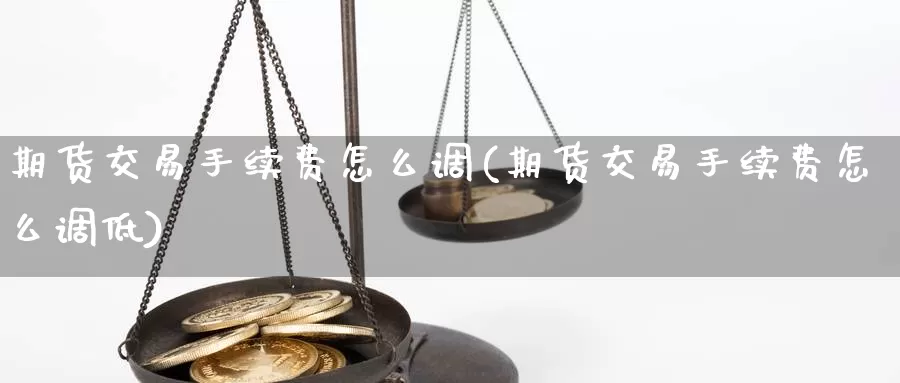 期货交易手续费怎么调(期货交易手续费怎么调低)_https://www.qdfrdjx.com_道指期货直播间_第1张