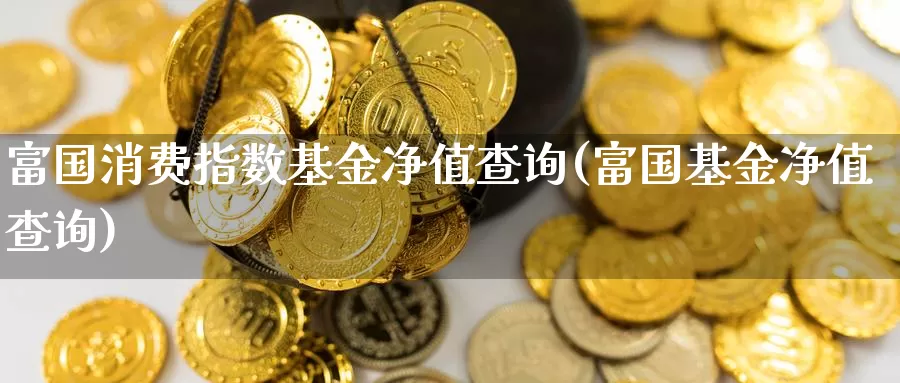 富国消费指数基金净值查询(富国基金净值查询)_https://www.qdfrdjx.com_道指期货直播间_第1张