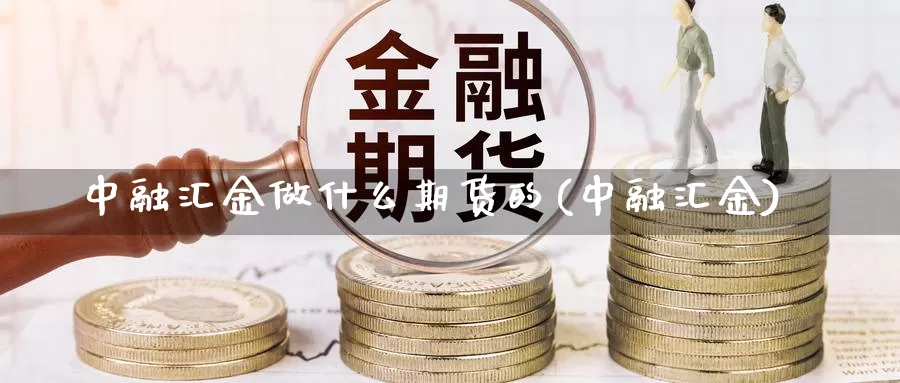 中融汇金做什么期货的(中融汇金)_https://www.qdfrdjx.com_道指期货手续费_第1张