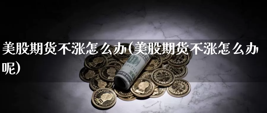 美股期货不涨怎么办(美股期货不涨怎么办呢)_https://www.qdfrdjx.com_道指期货直播室_第1张