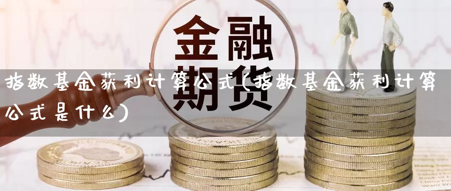 指数基金获利计算公式(指数基金获利计算公式是什么)_https://www.qdfrdjx.com_道指期货直播间_第1张