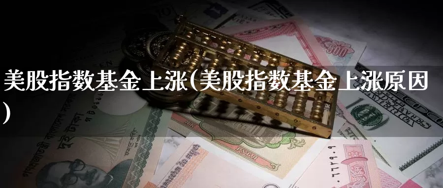 美股指数基金上涨(美股指数基金上涨原因)_https://www.qdfrdjx.com_道指期货直播室_第1张