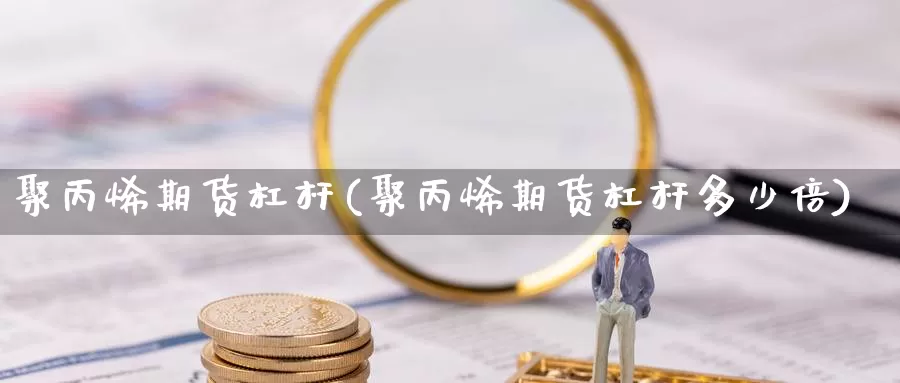 聚丙烯期货杠杆(聚丙烯期货杠杆多少倍)_https://www.qdfrdjx.com_道指期货手续费_第1张