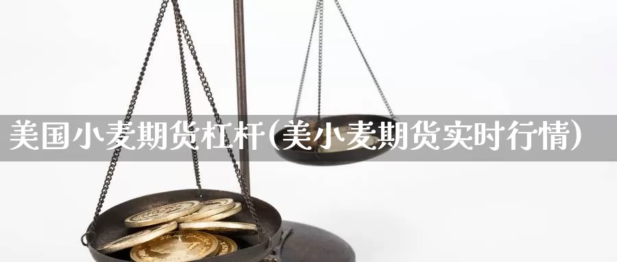 美国小麦期货杠杆(美小麦期货实时行情)_https://www.qdfrdjx.com_道指期货直播间_第1张