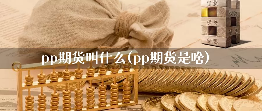 pp期货叫什么(pp期货是啥)_https://www.qdfrdjx.com_道指期货直播间_第1张