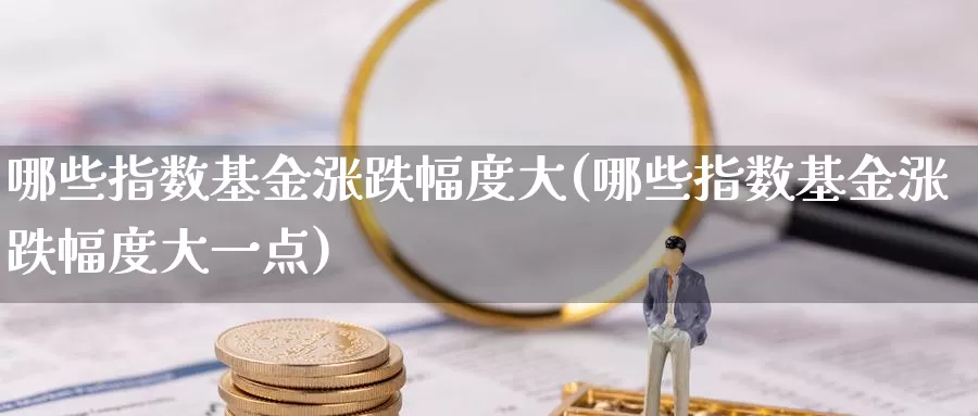 哪些指数基金涨跌幅度大(哪些指数基金涨跌幅度大一点)_https://www.qdfrdjx.com_道指期货手续费_第1张