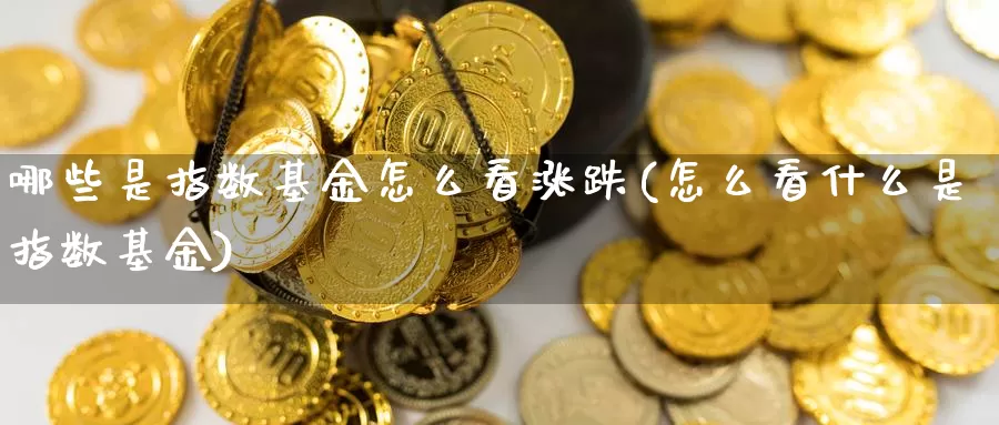 哪些是指数基金怎么看涨跌(怎么看什么是指数基金)_https://www.qdfrdjx.com_道指期货手续费_第1张