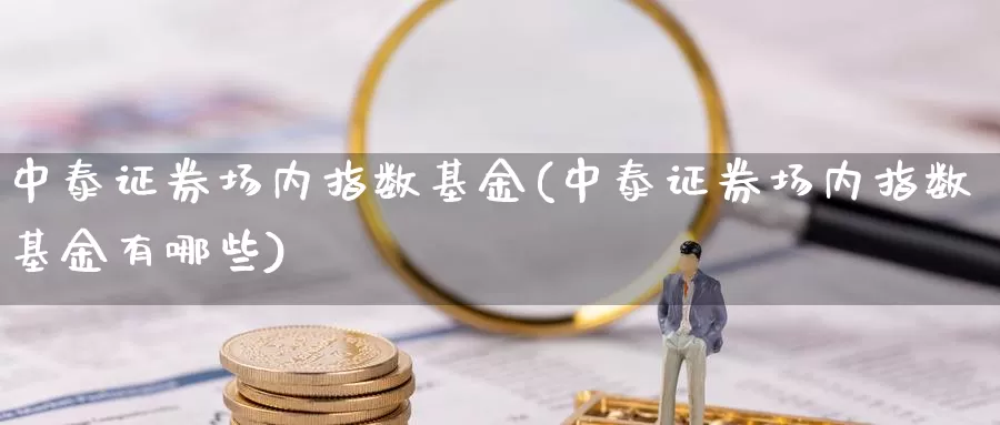 中泰证券场内指数基金(中泰证券场内指数基金有哪些)_https://www.qdfrdjx.com_道指期货手续费_第1张