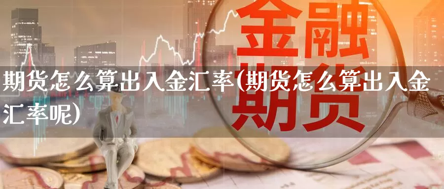 期货怎么算出入金汇率(期货怎么算出入金汇率呢)_https://www.qdfrdjx.com_道指期货直播室_第1张