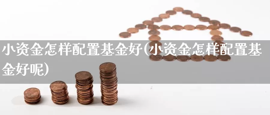 小资金怎样配置基金好(小资金怎样配置基金好呢)_https://www.qdfrdjx.com_道指期货直播间_第1张