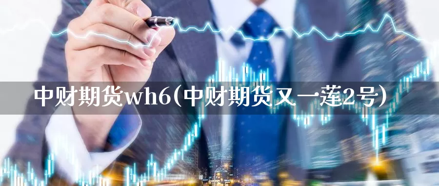 中财期货wh6(中财期货又一莲2号)_https://www.qdfrdjx.com_道指期货手续费_第1张