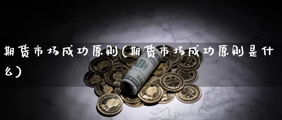 期货市场成功原则(期货市场成功原则是什么)_https://www.qdfrdjx.com_道指期货手续费_第1张