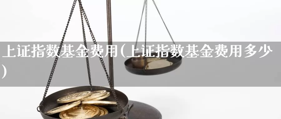 上证指数基金费用(上证指数基金费用多少)_https://www.qdfrdjx.com_道指期货直播间_第1张