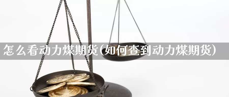 怎么看动力煤期货(如何查到动力煤期货)_https://www.qdfrdjx.com_道指期货手续费_第1张