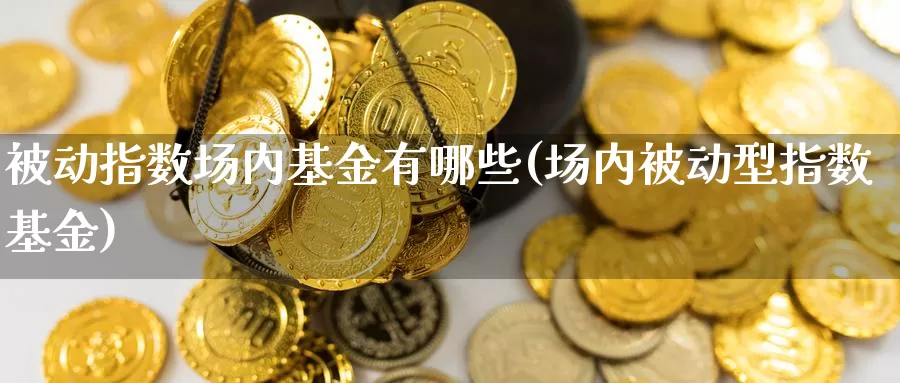 被动指数场内基金有哪些(场内被动型指数基金)_https://www.qdfrdjx.com_道指期货手续费_第1张