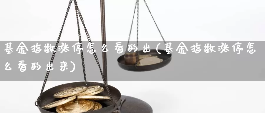 基金指数涨停怎么看的出(基金指数涨停怎么看的出来)_https://www.qdfrdjx.com_道指期货手续费_第1张