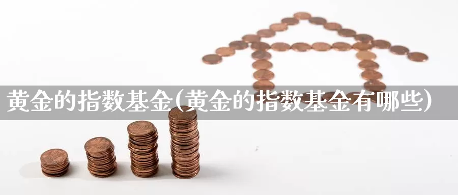 黄金的指数基金(黄金的指数基金有哪些)_https://www.qdfrdjx.com_道指期货直播室_第1张