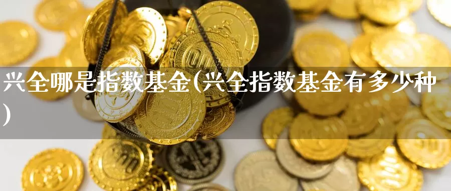 兴全哪是指数基金(兴全指数基金有多少种)_https://www.qdfrdjx.com_道指期货手续费_第1张