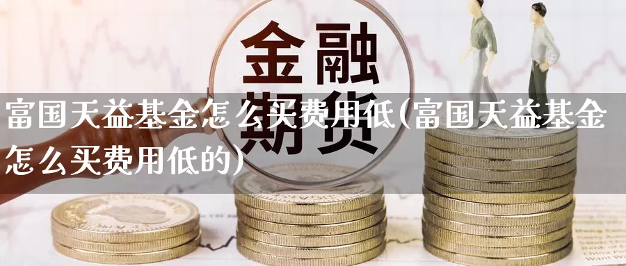 富国天益基金怎么买费用低(富国天益基金怎么买费用低的)_https://www.qdfrdjx.com_道指期货手续费_第1张