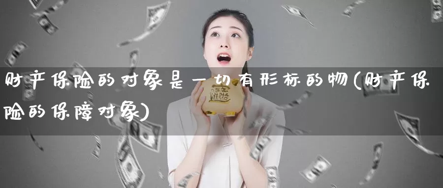 财产保险的对象是一切有形标的物(财产保险的保障对象)_https://www.qdfrdjx.com_道指期货直播室_第1张