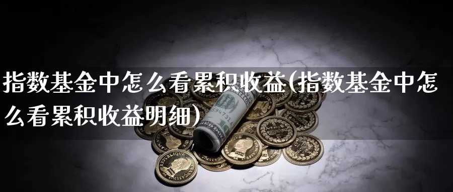 指数基金中怎么看累积收益(指数基金中怎么看累积收益明细)_https://www.qdfrdjx.com_道指期货手续费_第1张