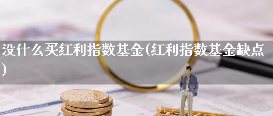 没什么买红利指数基金(红利指数基金缺点)_https://www.qdfrdjx.com_道指期货直播室_第1张