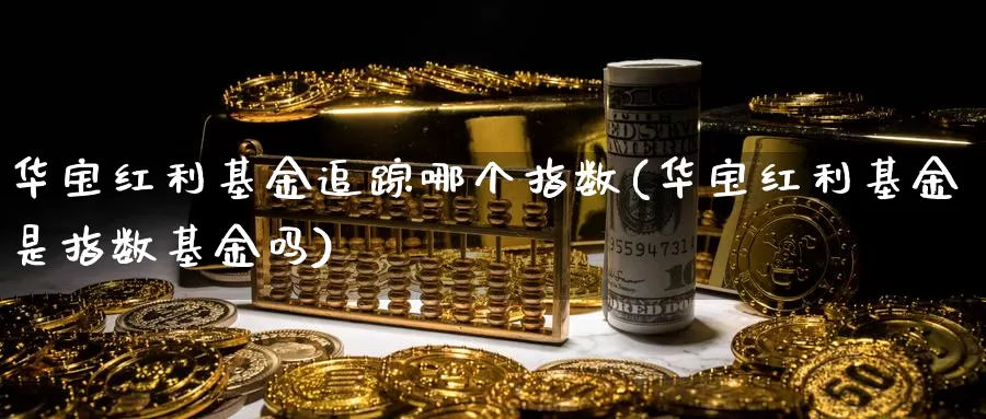 华宝红利基金追踪哪个指数(华宝红利基金是指数基金吗)_https://www.qdfrdjx.com_道指期货直播间_第1张