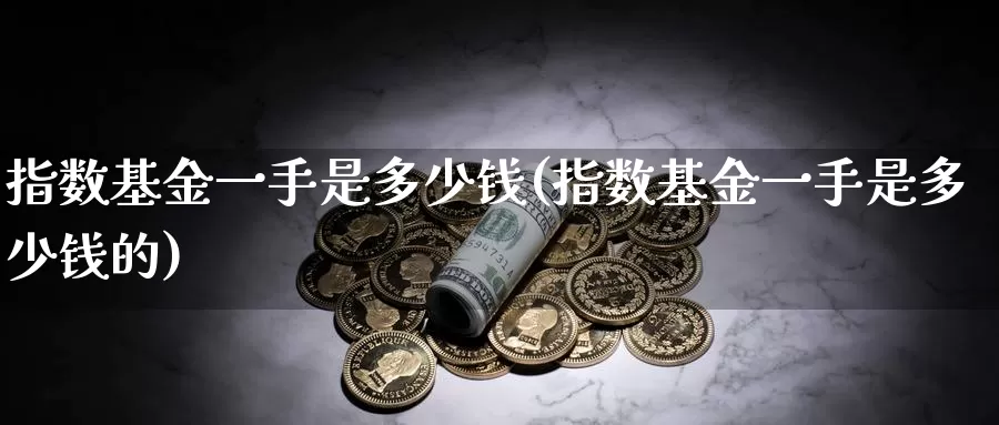 指数基金一手是多少钱(指数基金一手是多少钱的)_https://www.qdfrdjx.com_道指期货直播间_第1张