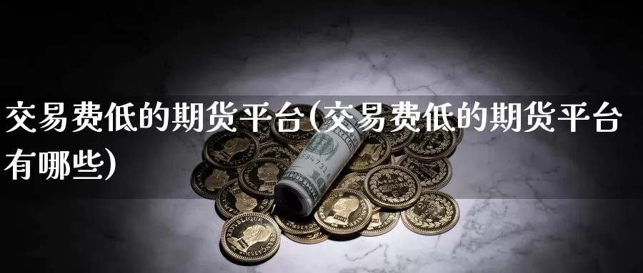 交易费低的期货平台(交易费低的期货平台有哪些)_https://www.qdfrdjx.com_道指期货手续费_第1张