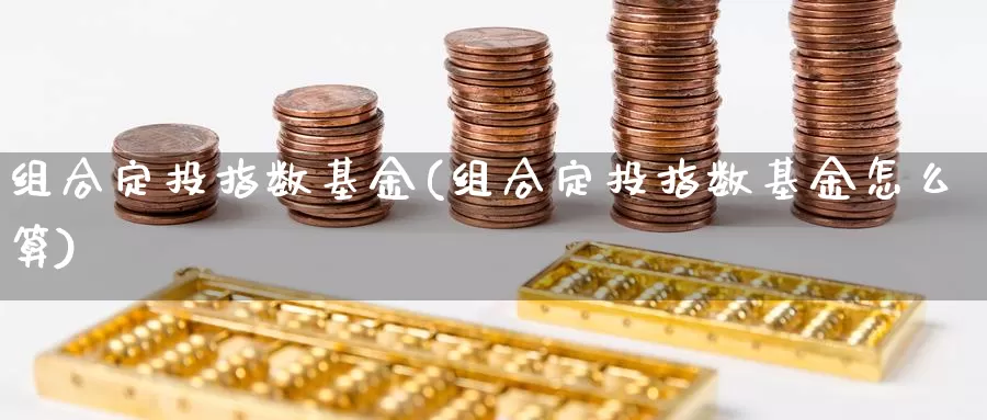 组合定投指数基金(组合定投指数基金怎么算)_https://www.qdfrdjx.com_道指期货手续费_第1张