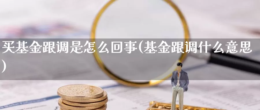 买基金跟调是怎么回事(基金跟调什么意思)_https://www.qdfrdjx.com_道指期货手续费_第1张