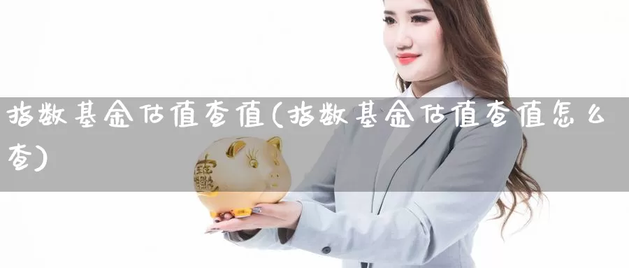 指数基金估值查值(指数基金估值查值怎么查)_https://www.qdfrdjx.com_道指期货直播室_第1张