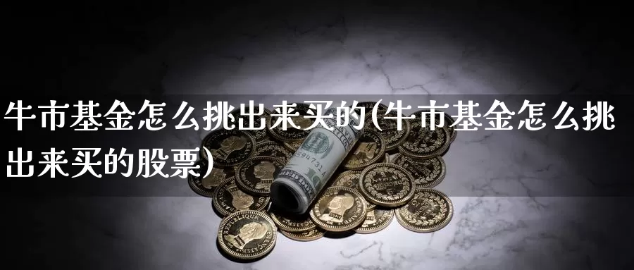 牛市基金怎么挑出来买的(牛市基金怎么挑出来买的股票)_https://www.qdfrdjx.com_道指期货手续费_第1张