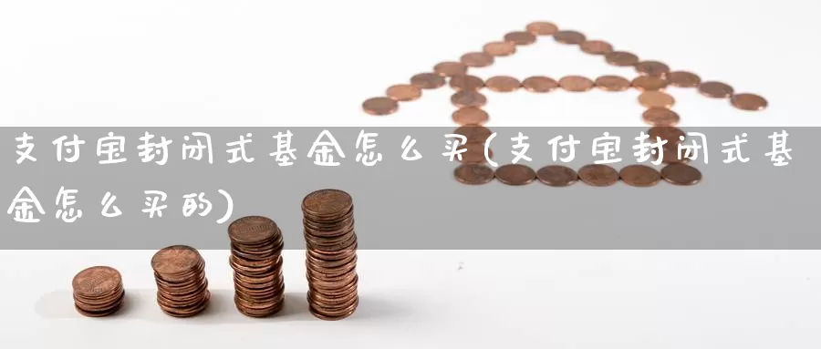 支付宝封闭式基金怎么买(支付宝封闭式基金怎么买的)_https://www.qdfrdjx.com_道指期货直播间_第1张