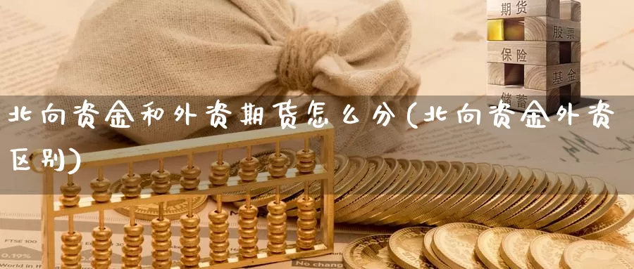 北向资金和外资期货怎么分(北向资金外资区别)_https://www.qdfrdjx.com_道指期货直播间_第1张