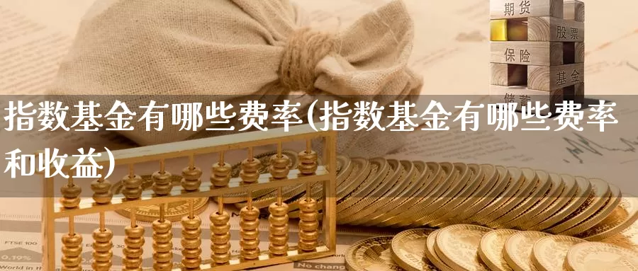 指数基金有哪些费率(指数基金有哪些费率和收益)_https://www.qdfrdjx.com_道指期货手续费_第1张