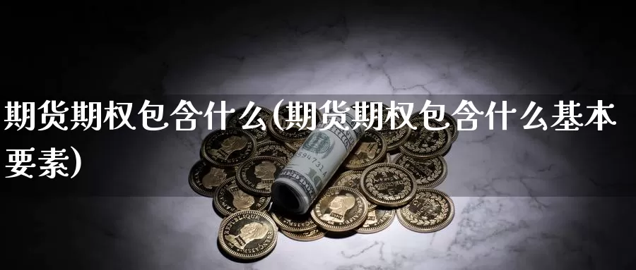 期货期权包含什么(期货期权包含什么基本要素)_https://www.qdfrdjx.com_道指期货手续费_第1张