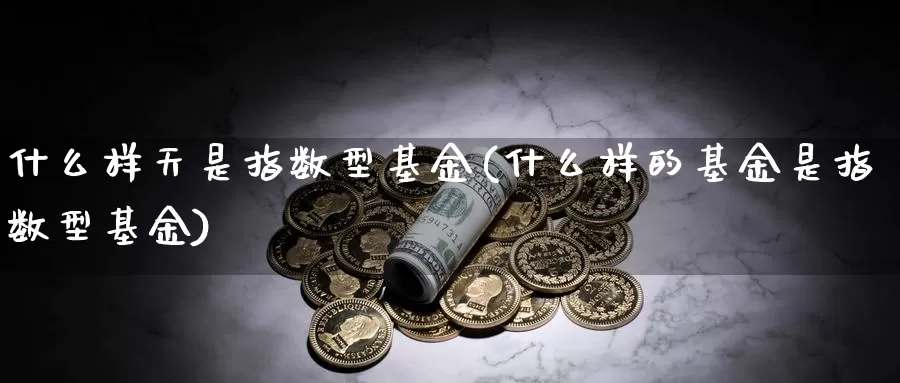 什么样天是指数型基金(什么样的基金是指数型基金)_https://www.qdfrdjx.com_道指期货直播室_第1张