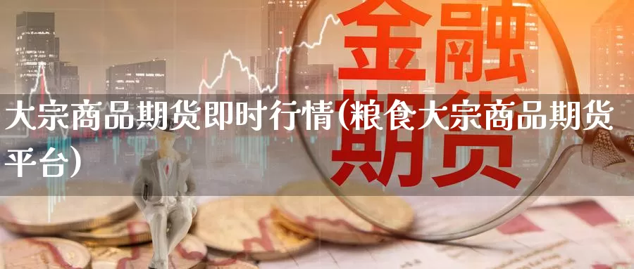 大宗商品期货即时行情(粮食大宗商品期货平台)_https://www.qdfrdjx.com_道指期货直播间_第1张