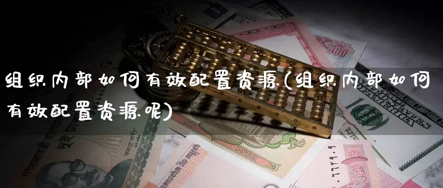 组织内部如何有效配置资源(组织内部如何有效配置资源呢)_https://www.qdfrdjx.com_道指期货直播间_第1张