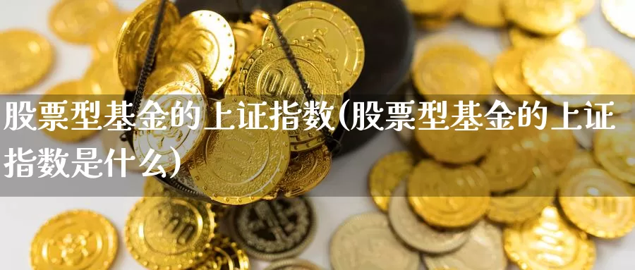 股票型基金的上证指数(股票型基金的上证指数是什么)_https://www.qdfrdjx.com_道指期货手续费_第1张