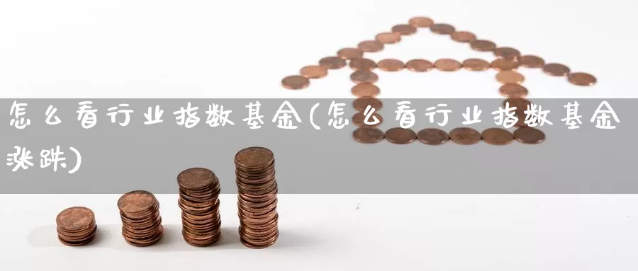 怎么看行业指数基金(怎么看行业指数基金涨跌)_https://www.qdfrdjx.com_道指期货手续费_第1张