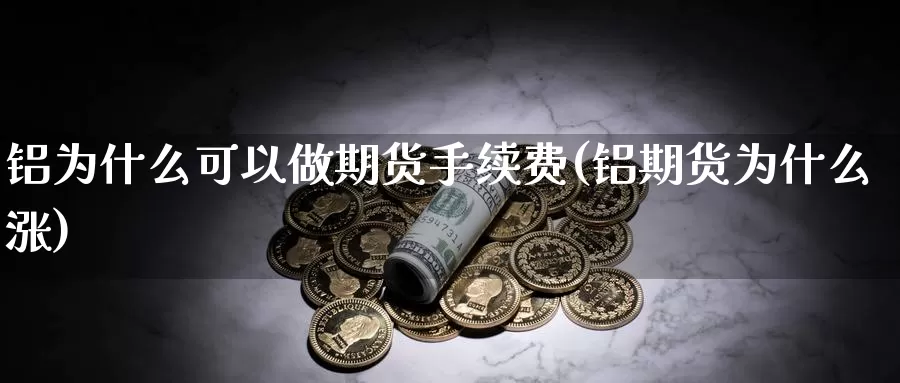 铝为什么可以做期货手续费(铝期货为什么涨)_https://www.qdfrdjx.com_道指期货直播间_第1张