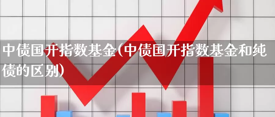 中债国开指数基金(中债国开指数基金和纯债的区别)_https://www.qdfrdjx.com_道指期货手续费_第1张